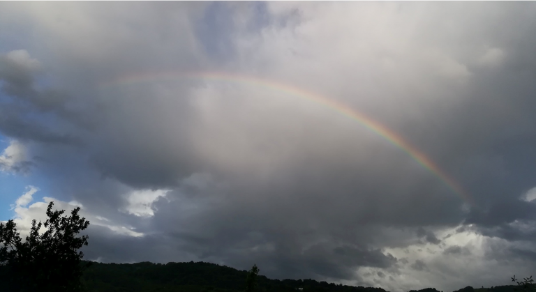 Sursă foto: Gabriela Moldovan